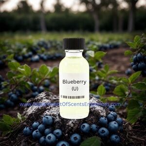 Blueberry Unisex 1 Oz Fragrance Oil Paraben Free Vegetable Oil